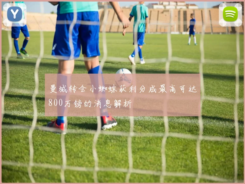 曼城转会小蜘蛛获利分成最高可达800万镑的消息解析
